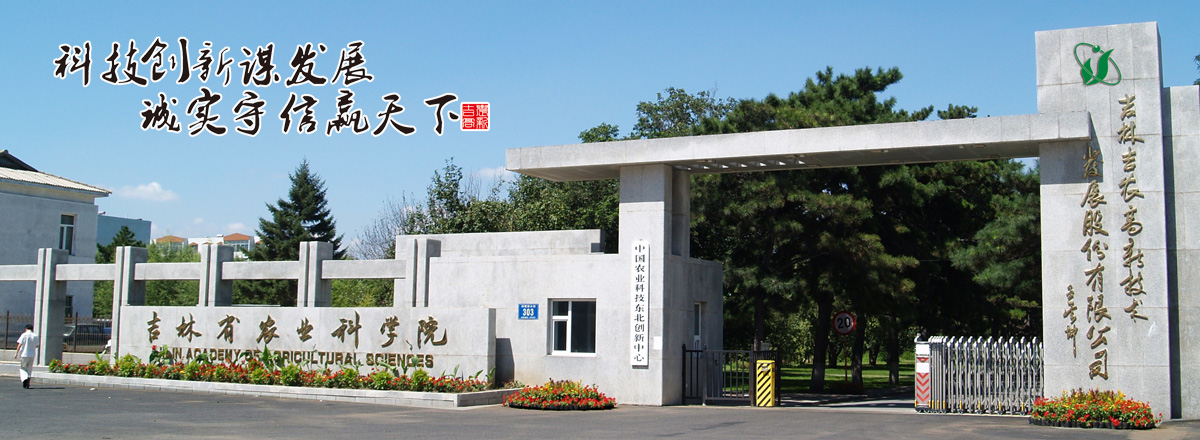 關于我們
